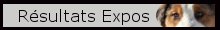 resultats expo berger australien