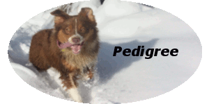 pedigree
