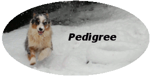 pedigree