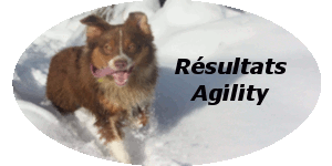 agility