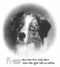 berger australien viva