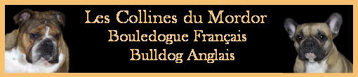 COLLINE DU MORDOR