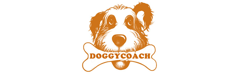 doggycoach