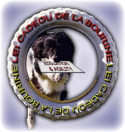 lei cadeou