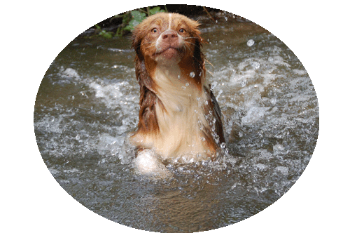 eau