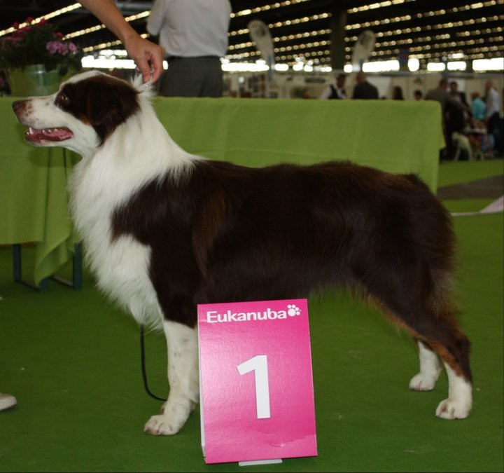 expo