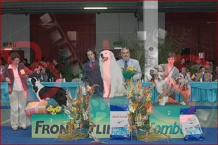 expo