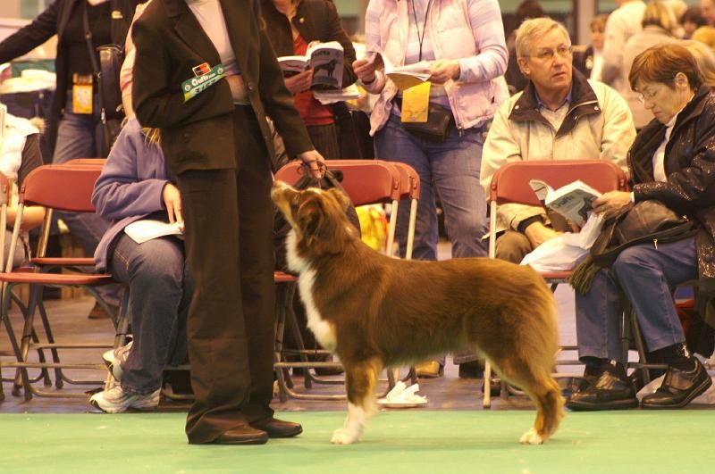 expo viva