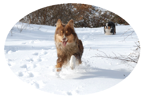 chynemoon neige