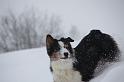 IMG_9745