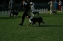 SGOLDCUP2