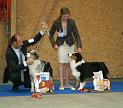 SNE2010