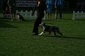DGOLDCUP3