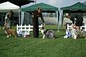 DGOLDCUP4