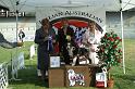 DGOLDCUP6