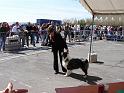 WFREJUS062