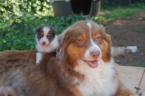 cheyenne et heiko
